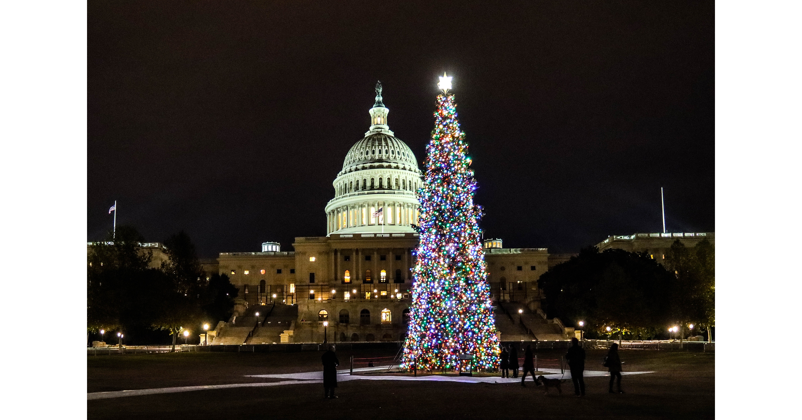 Arrow Tool Group Becomes Diamond Sponsor for 2026 U.S. Capitol Christmas Tree