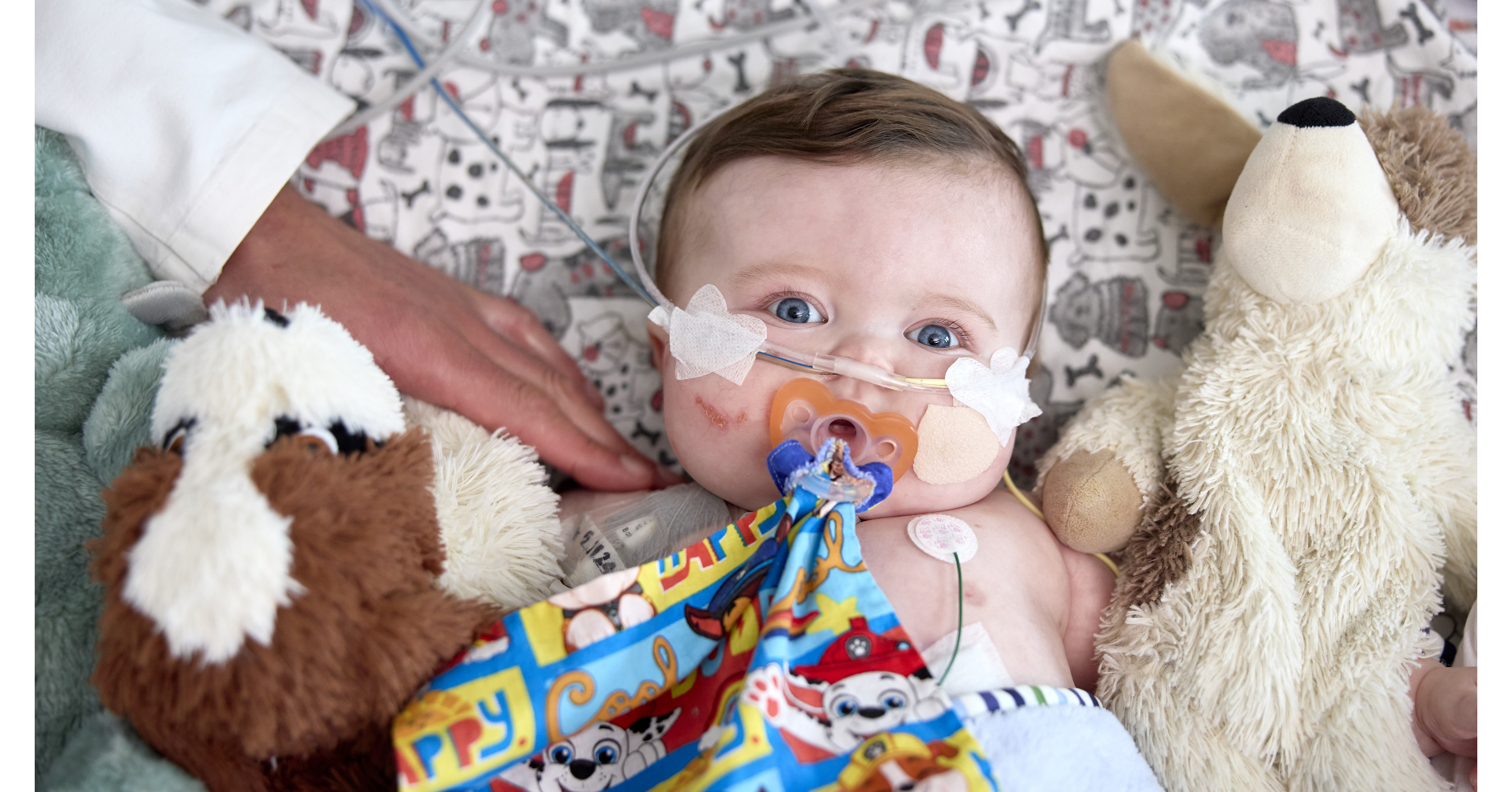 BOND Trial Aims to Improve Support for Families Facing Congenital Heart Disease