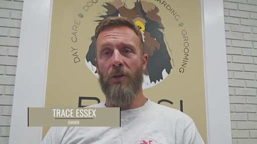 In HelloNation, Dog Boarding Expert Trace Essex Explains How Dogs Are Matched for Safe Group Play