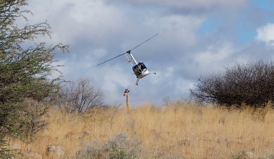"Catching Giants" Makes U.S. Broadcast Premiere on Public Television &amp; the PBS App