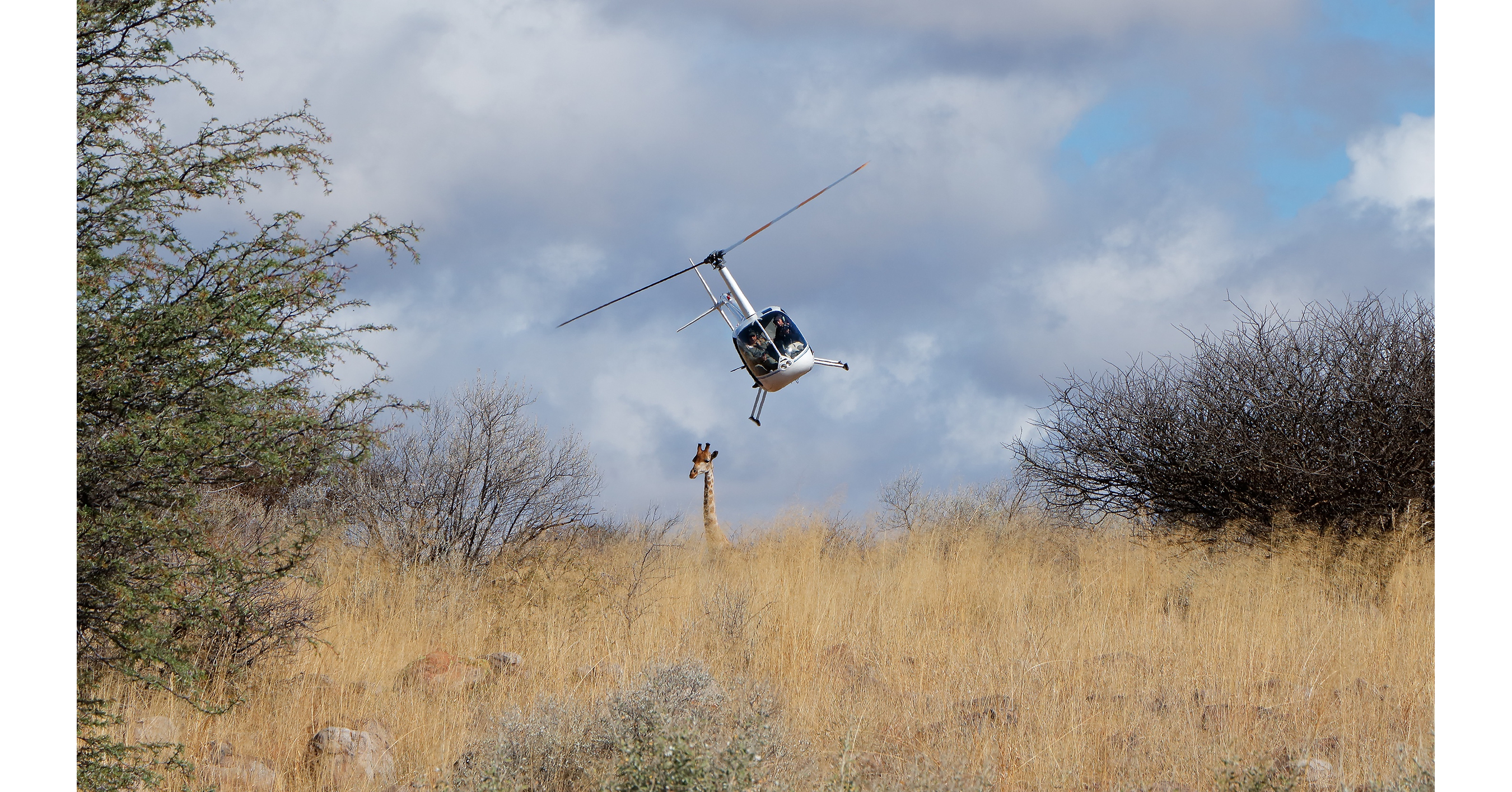 "Catching Giants" Makes U.S. Broadcast Premiere on Public Television & the PBS App