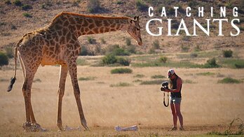 Filmmakers capturing images of a giraffe in South Africa.