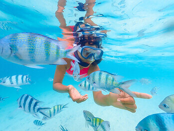 The Spirit Of Cozumel ALL IN ONE PLACE!