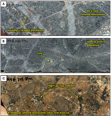 Figure 5. Core photos of Thira drill hole TH25-154 and Camp Lake drill hole TH25-149. A. porphyry-related stockwork cutting biotite-k-feldspar altered monzonite from Thira drill hole TH26-154 at 46.0 meters down hole, B. intense biotite alteration with disseminated and clotted chalcopyrite from Thira drill hole TH26-154 at 221.7 meters down hole, C. potassic altered monzonite clast-rich breccia with magnetite-pyrite-chalcopyrite cement from Camp Lake drill hole TH26-149 at 314.8 meters down hole. Abbreviations: cpy = chalcopyrite, py = pyrite, mgnt = magnetite, bt = biotite, k-spar = potassium feldspar