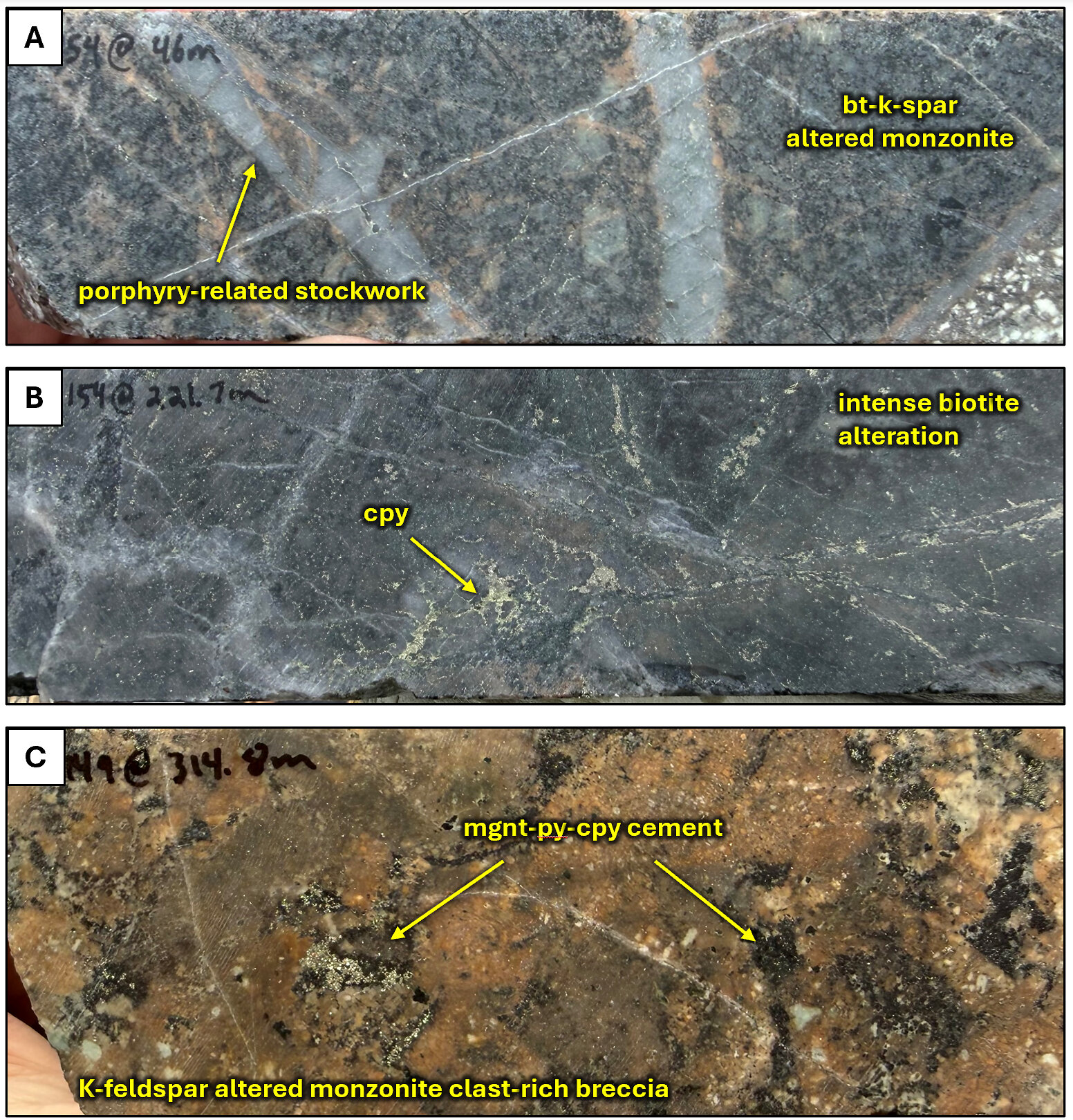 Figure 5. Core photos of Thira drill hole TH25-154 and Camp Lake drill hole TH25-149. A. porphyry-related stockwork cutting biotite-k-feldspar altered monzonite from Thira drill hole TH26-154 at 46.0 meters down hole, B. intense biotite alteration with disseminated and clotted chalcopyrite from Thira drill hole TH26-154 at 221.7 meters down hole, C. potassic altered monzonite clast-rich breccia with magnetite-pyrite-chalcopyrite cement from Camp Lake drill hole TH26-149 at 314.8 meters down hole. Abbreviations: cpy = chalcopyrite, py = pyrite, mgnt = magnetite, bt = biotite, k-spar = potassium feldspar Figure 5. Core photos of Thira drill hole TH25-154 and Camp Lake drill hole TH25-149. A. porphyry-related stockwork cutting biotite-k-feldspar altered monzonite from Thira drill hole TH26-154 at 46.0 meters down hole, B. intense biotite alteration with disseminated and clotted chalcopyrite from Thira drill hole TH26-154 at 221.7 meters down hole, C. potassic altered monzonite clast-rich breccia with magnetite-pyrite-chalcopyrite cement from Camp Lake drill hole TH26-149 at 314.8 meters down hole. Abbreviations: cpy = chalcopyrite, py = pyrite, mgnt = magnetite, bt = biotite, k-spar = potassium feldspar