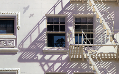 Lynette Cook's Illumination Selected for Sotheby's New York Exhibition