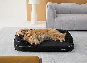 Lesure Brings Human Sleep Standards to Pets with RealOrtho™ Dog Bed Launch