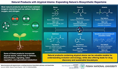 College of Pharmacy, Pusan National University Study Explores Rare Atom-Containing Natural Products and Their Biomedical Potential