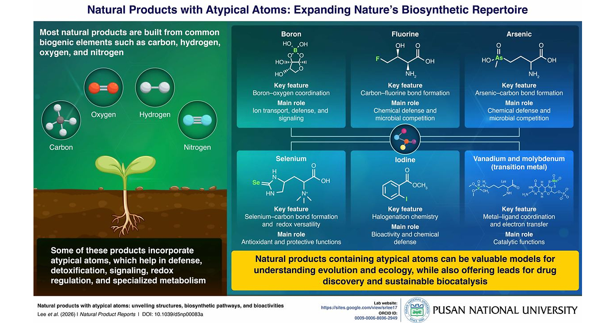 College of Pharmacy, Pusan National University Study Explores Rare Atom-Containing Natural Products and Their Biomedical Potential