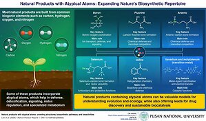 College of Pharmacy, Pusan National University Study Explores Rare Atom-Containing Natural Products and Their Biomedical Potential