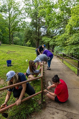 TriStar Bank employees volunteer at Montgomery Bell State Park Friday, June 19, 2026. 