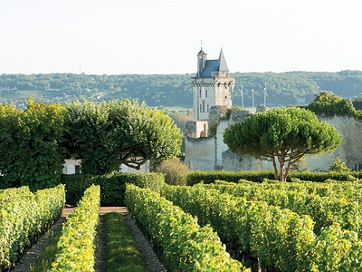 Loire Wines