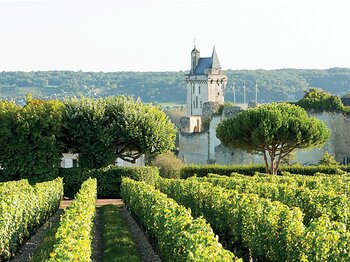 Loire Wines