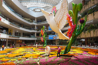 Giant dove adorns world's largest natural flower tapestry in Medellín