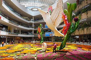 Giant dove adorns world's largest natural flower tapestry in Medellín