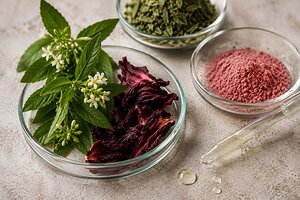 SuanNutra, ein Portfoliounternehmen von Carbyne Equity Partners, erweitert sein Produktportfolio um den Geschäftsbereich für spezielle natürliche Inhaltsstoffe von IFF