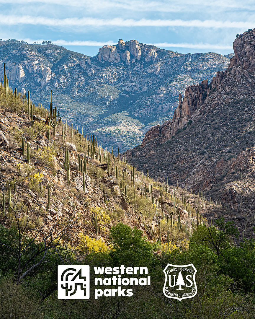 Western National Parks expands mission through partnership with Sabino Canyon Recreation Area, local Tucson gem