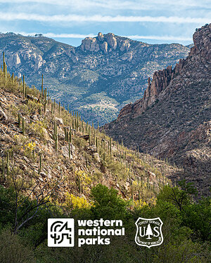 Western National Parks expands mission through partnership with Sabino Canyon Recreation Area, local Tucson gem