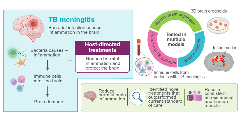 Study Points to New Strategy for TB Meningitis Care
