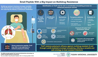 Pusan National University: Beyond Antibiotics--A Paradigm Shift Toward Bacteria-Control-Centric Therapies