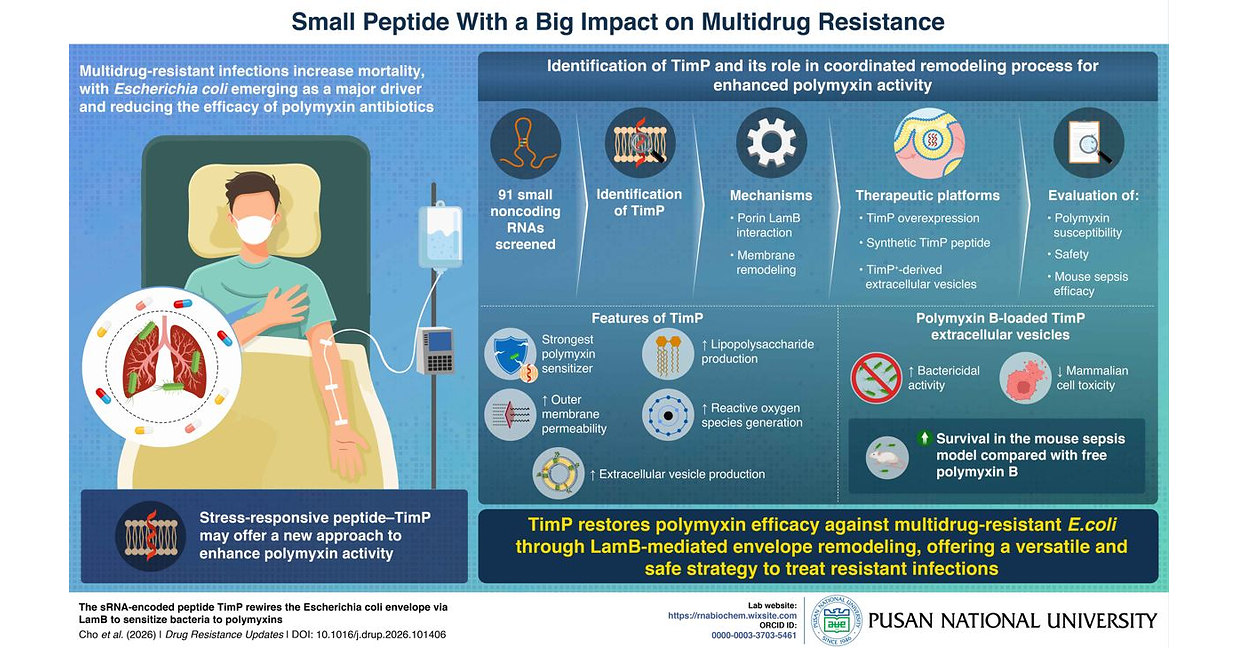 Pusan National University: Beyond Antibiotics--A Paradigm Shift Toward Bacteria-Control-Centric Therapies Pusan National University: Beyond Antibiotics--A Paradigm Shift Toward Bacteria-Control-Centric Therapies