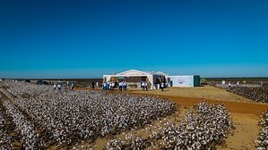 Bayer reúne cadeia da cotonicultura em Sorriso para apresentar o futuro da biotecnologia Bollgard no Brasil
