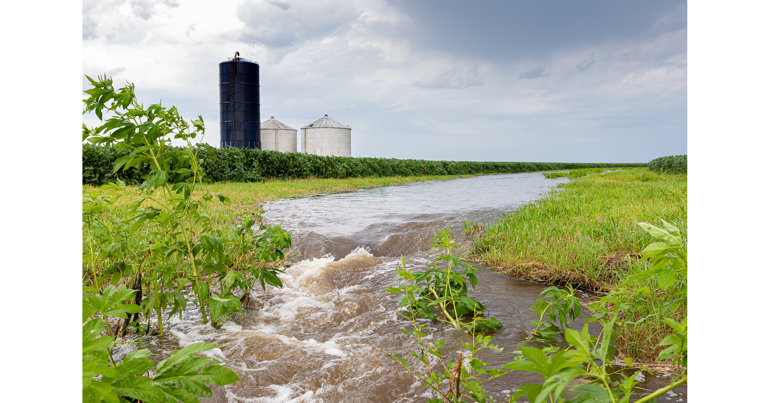 Federal Trial Begins in Center for Food Safety Lawsuit Challenging River Pollution from Industrial Dairy