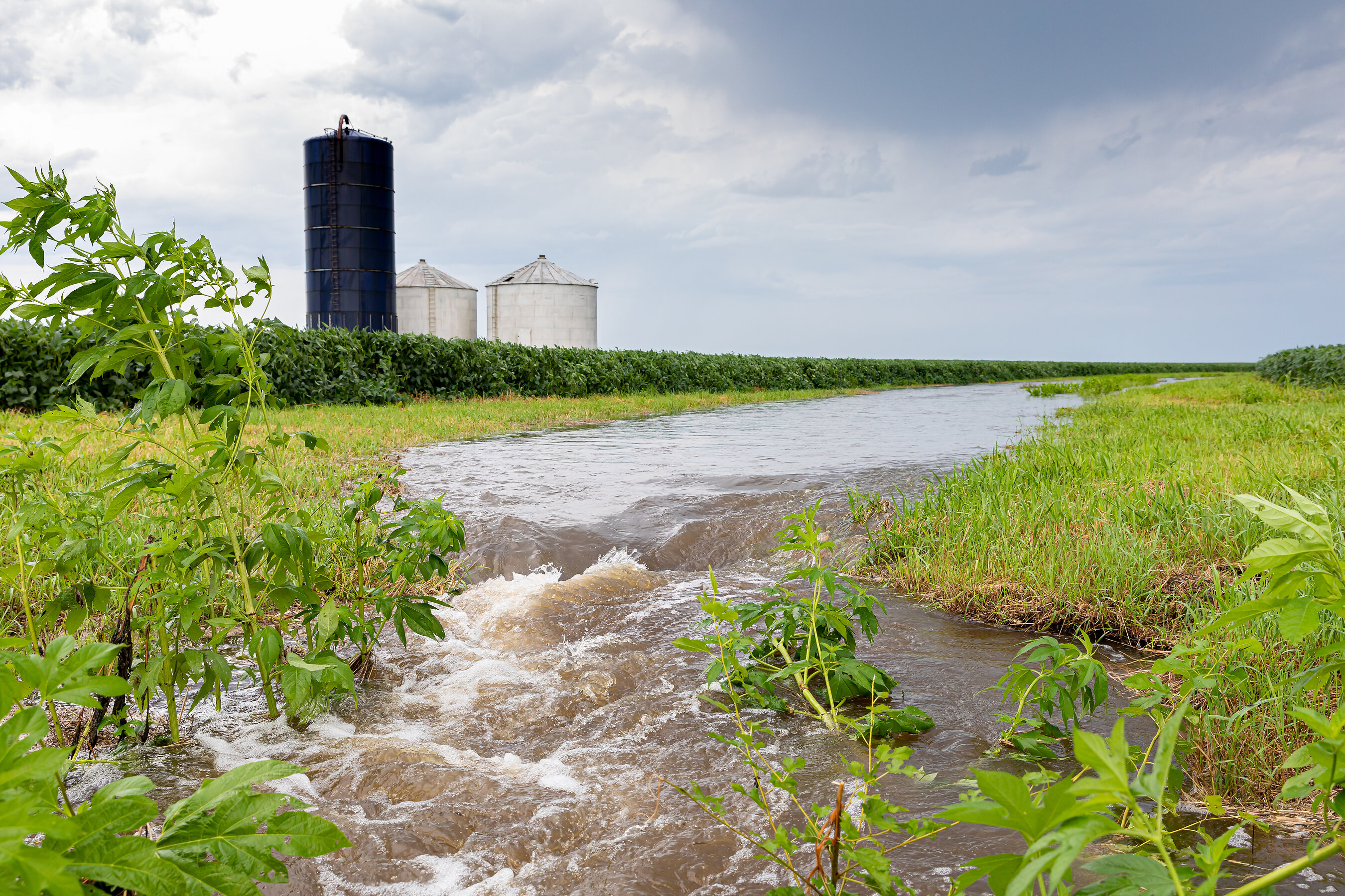 Début d'un procès fédéral sur la pollution d'une rivière par une laiterie industrielle