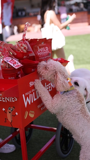Stella & Chewy's at DOG PPL
