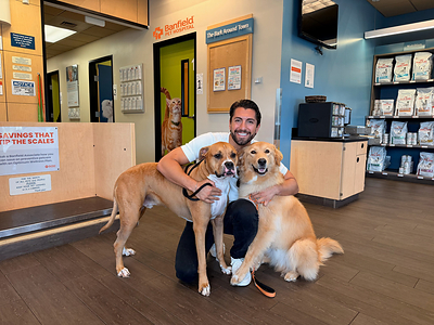 prnewswire.com - Banfield Pet Hospital - Banfield Pet Hospital Announces Customizations for Optimum Wellness Plans