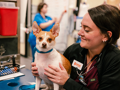 Banfield Pet Hospital® Announces Customizations for 
Optimum Wellness Plans®
