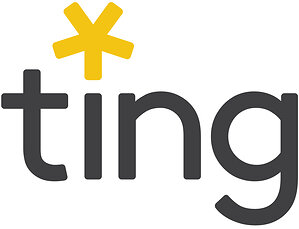 Whisker Labs Becomes Ting Labs, Reflecting the Name More Than One Million Homes Already Trust