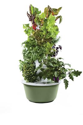 Aeroponic Gardening Leader Tower Garden Launches Dedicated School Portal
