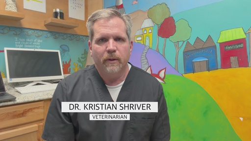 In HelloNation, Expert Veterinarian Dr. Kristian Shriver Shares Warning Signs That Your Pet May Need Veterinary Care