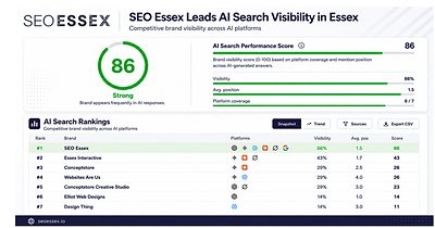  SEO Essex