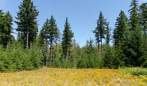 Sunny Skies Over Hood River County