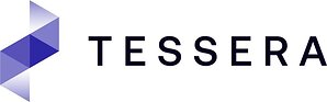 Tessera Therapeutics Appoints Joseph Romanelli as President and Chief Executive Officer