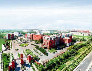 Chandigarh University's 102 B.Ed. Graduates Secure Teaching Positions at Prestigious Schools Across 12 States