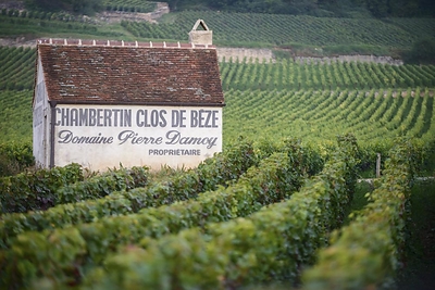 Domaine Pierre Damoy
