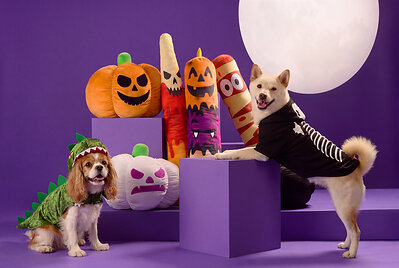 Petco Launches Halloween Drop Featuring Hundreds of Exclusive, On-Trend Finds