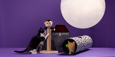 Petco Launches Halloween Drop Featuring Hundreds of Exclusive, On-Trend Finds