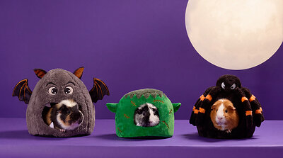 Petco Launches Halloween Drop Featuring Hundreds of Exclusive, On-Trend Finds