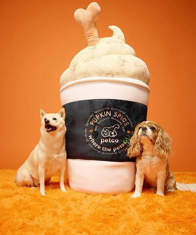 Petco Launches Halloween Drop Featuring Hundreds of Exclusive, On-Trend Finds