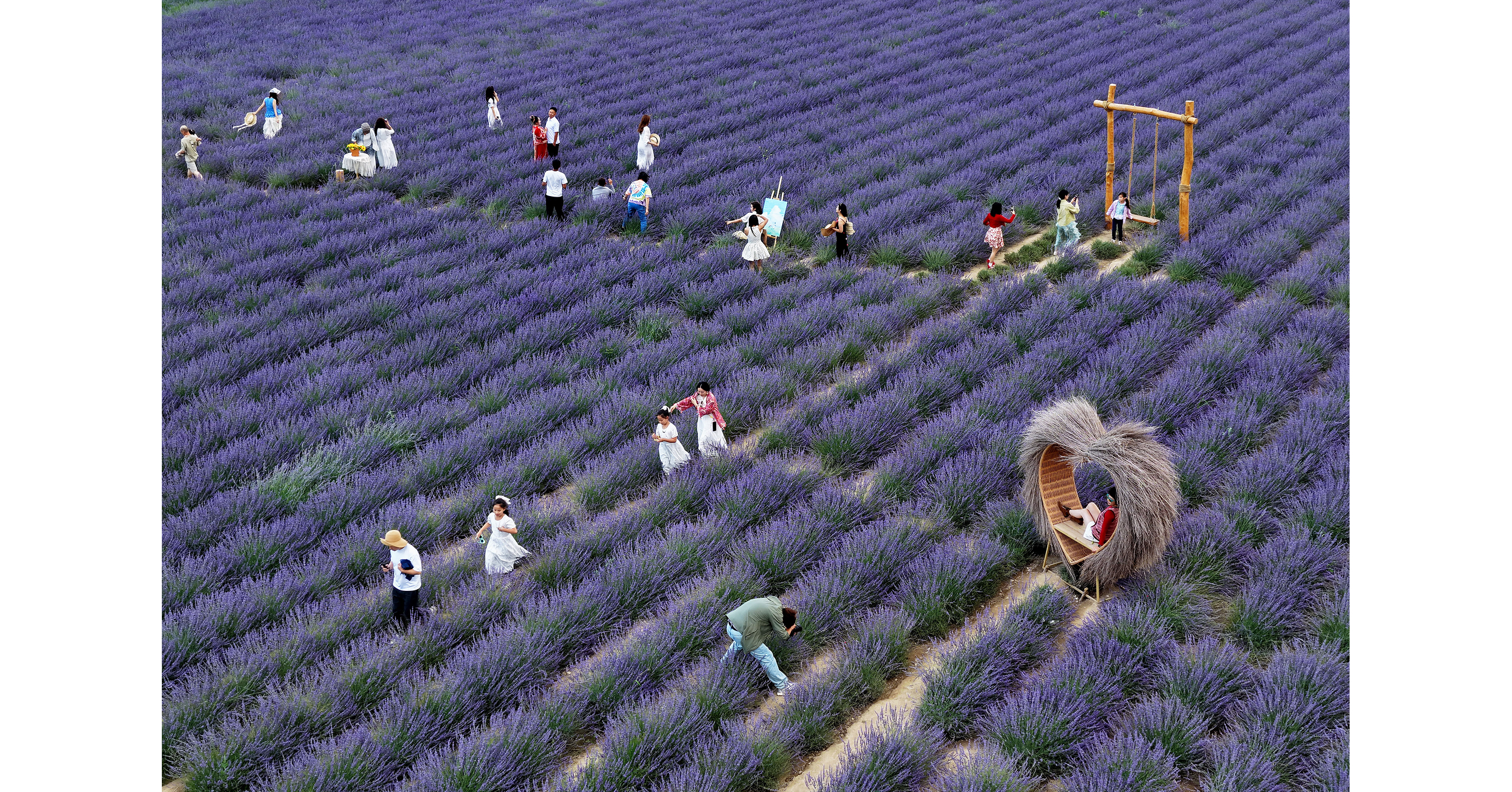 Village fortunes transformed through 'purple economy'
