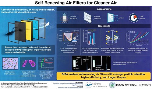 Dynamic adhesive chemistry enables durable, high-performance air filtration. Dynamic adhesive chemistry enables durable, high-performance air filtration.