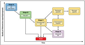 New International Consensus Redefines Heart Failure Diagnosis, Putting Filling Pressure and Primary Care at the Center