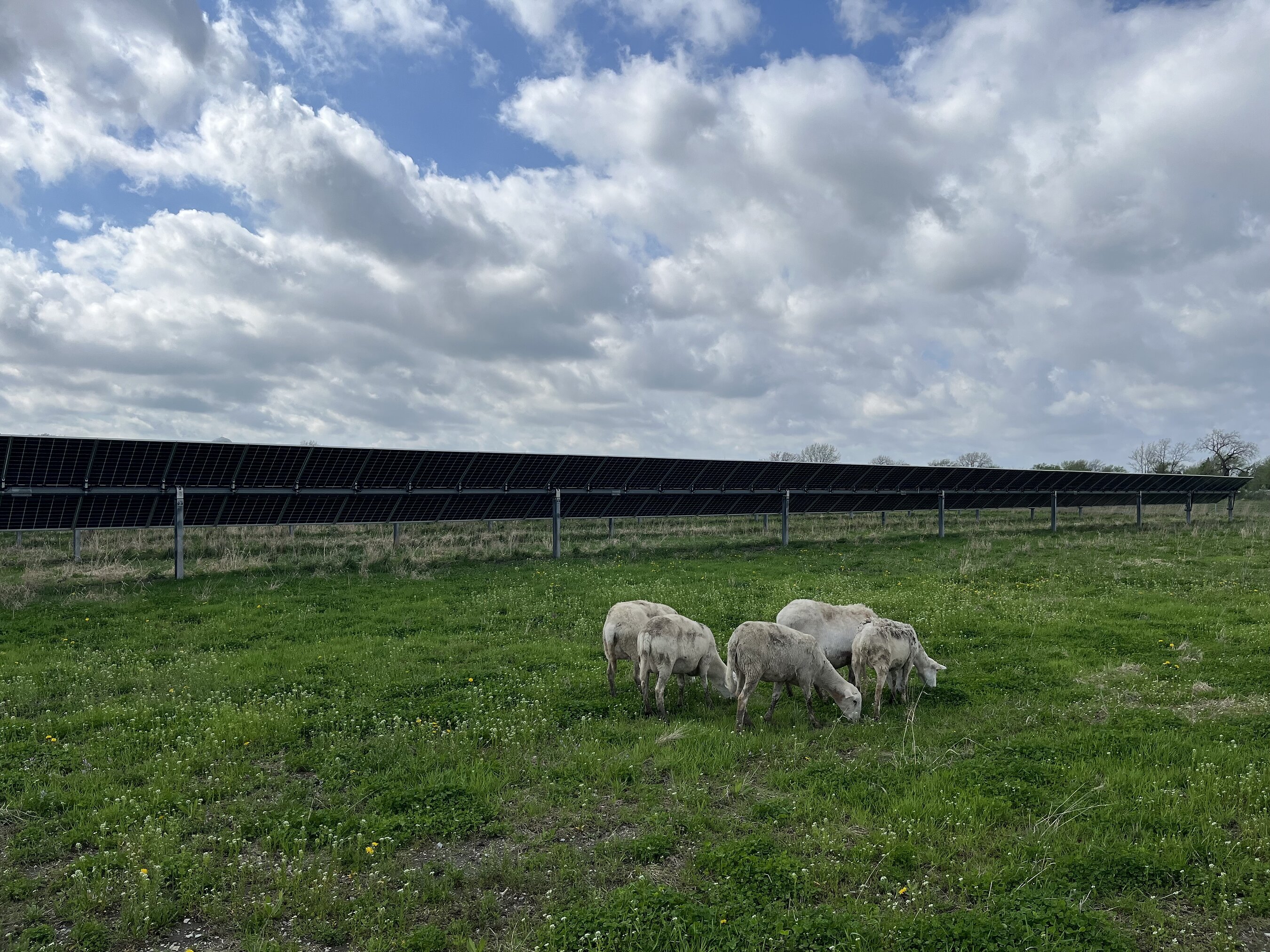 Community Solar Delivers Affordability Close to Home