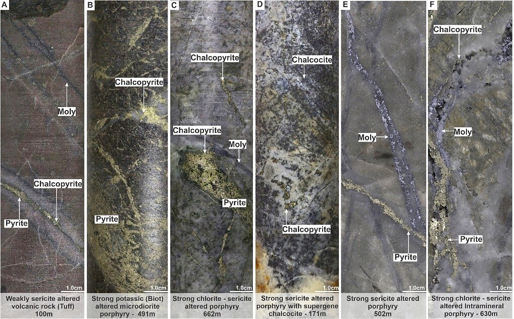 Figure 2. Representative core photographs from holes MD-065 (A - C) and MD-066 (D - F) illustrating porphyry-style mineralization, hydrothermal alteration, and vein-hosted copper and molybdenum mineralization.