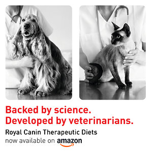 Royal Canin Expands Access to Therapeutic Nutrition in Amazon's Stores