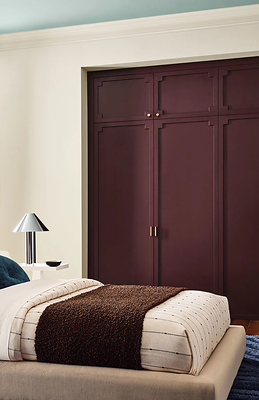 Walls & Trim: White Duck SW 7010  - Closet Door: Cordovan SW 6027 - Ceiling: Quietude SW 6212